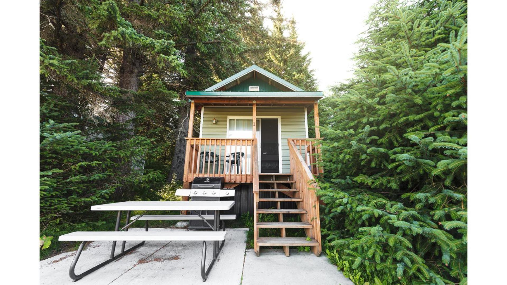 Cabin 1 Lynn View Lodge Haines Exteriér fotografie